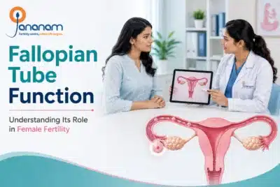 Fallopian Tube Function: Understanding Its Role in Female Fertility