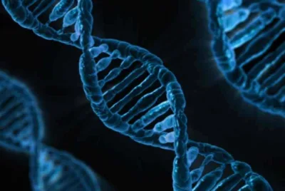 Weighing IVF with Preimplantation Genetic Testing Versus Natural Conception: A Practical Guide for Chennai Couples with Genetic Concerns