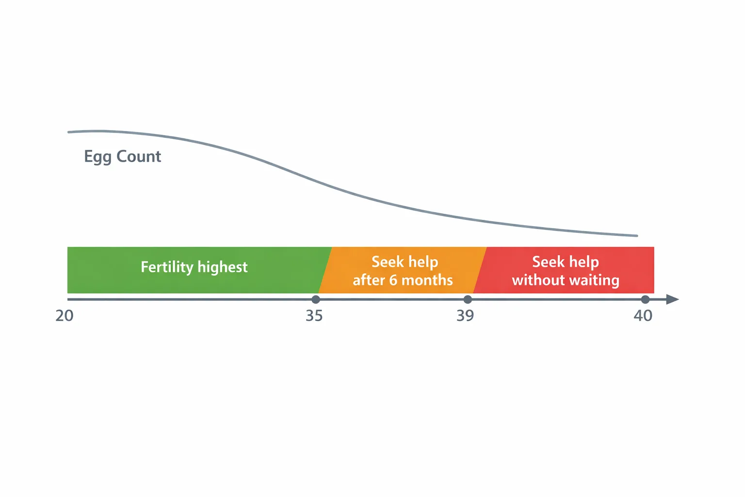 Timeline diagram showing fertility decline by age with colour-coded zones and recommended evaluation windows.
