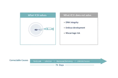 Diagram showing ICSI solves fertilisation only, with a 74-day timeline of correctable sperm causes underneath.