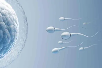 Navigating the Decision to Use Donor Sperm with Genetic Variants: What Chennai Couples Need to Know